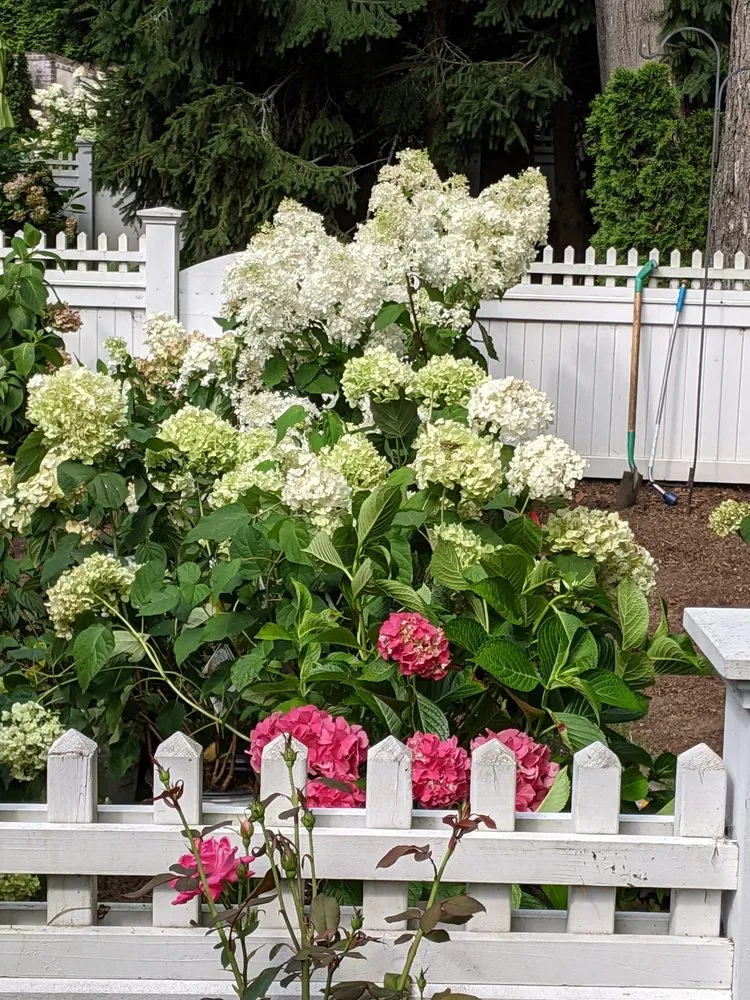 Reliable landscape design in Naugatuck, CT - Nature's Designs