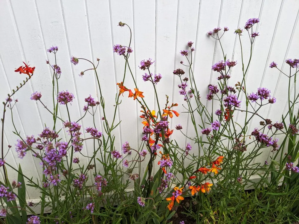 Affordable outdoor landscaping in Naugatuck, CT by Nature's Designs