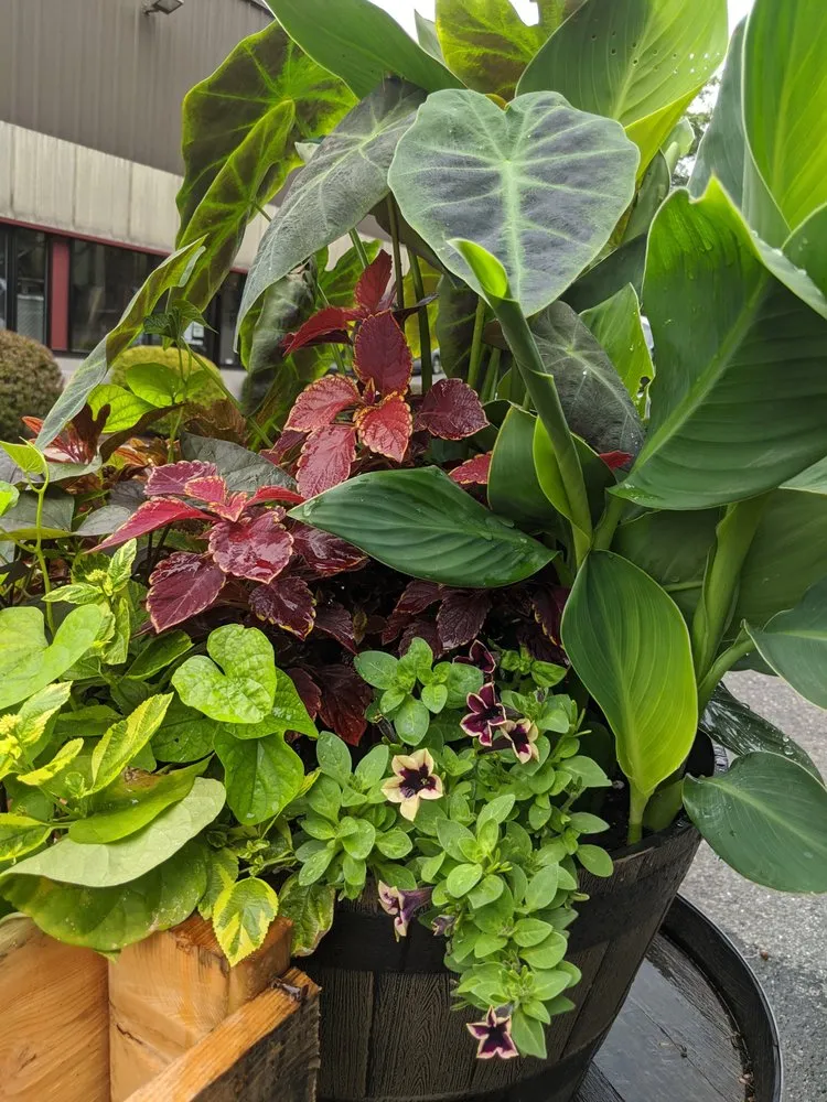 Expert landscaping services near you in Naugatuck, CT by Nature's Designs