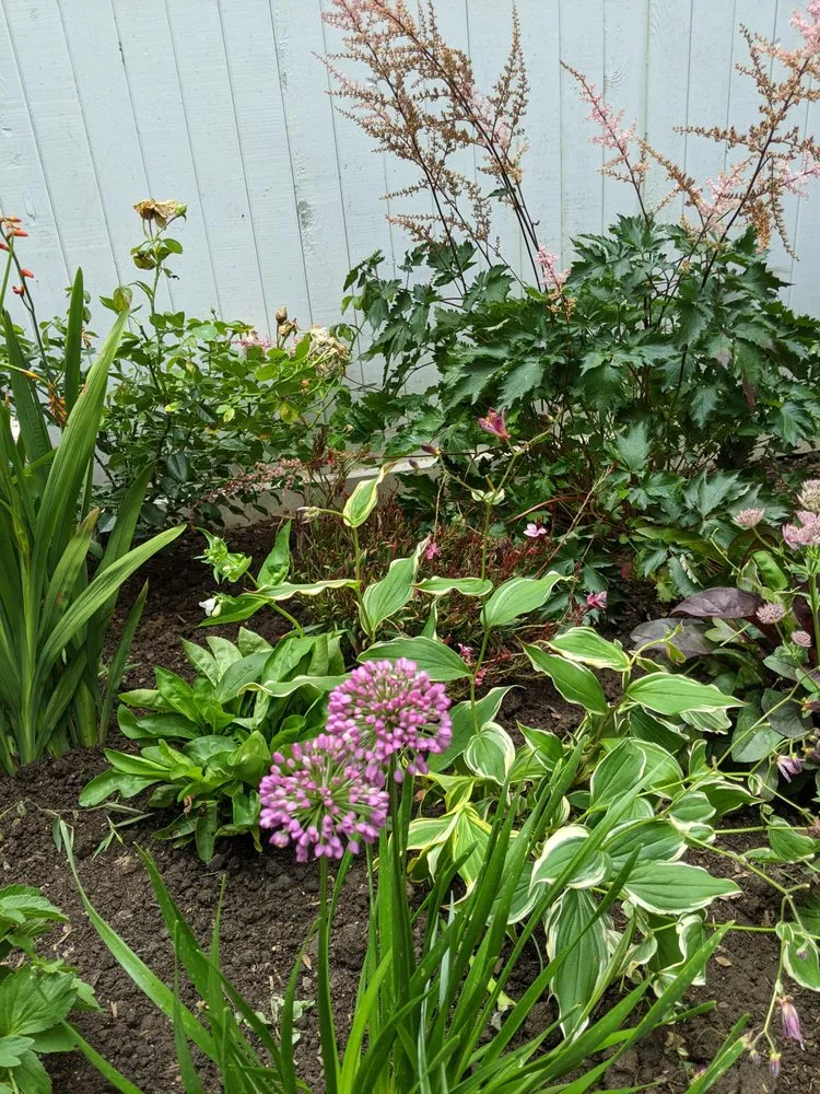 Trusted lawn mowing service for year-round maintenance in Naugatuck, CT by Nature's Designs