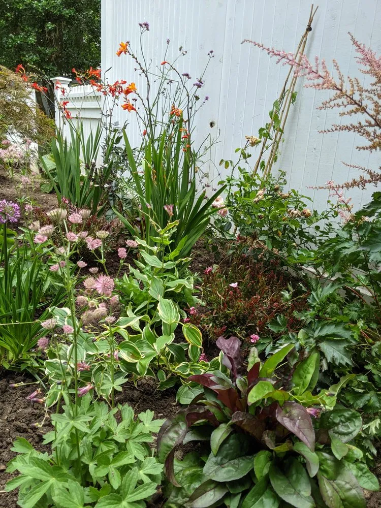 Professional yard cleanup service for outdoor upgrades in Naugatuck, CT by Nature's Designs