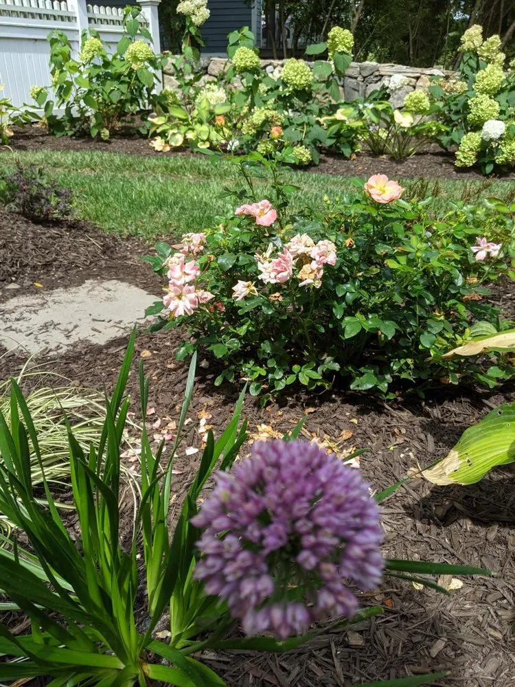 Reliable residential landscaping for homes across Naugatuck, CT - Nature's Designs