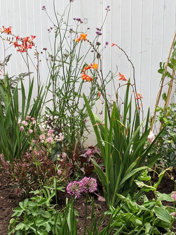 Expert lawn care service in Naugatuck, CT by Nature's Designs