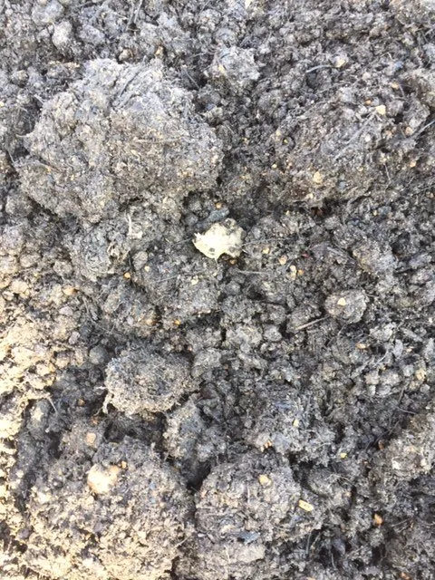 Professional yard cleanup service for residential properties in Memphis, TN by Nature's Earth Products