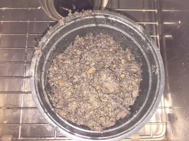 Affordable landscape installation with custom design in Memphis, TN by Nature's Earth Products