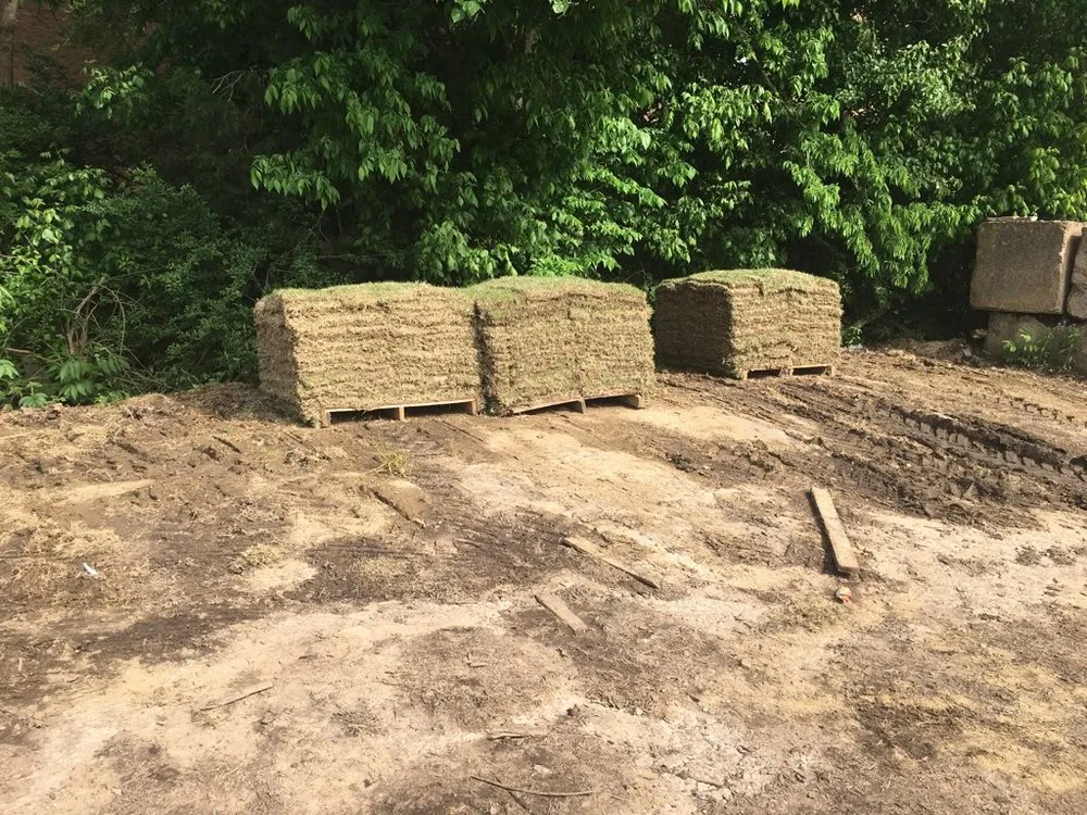 Custom lawn care service for outdoor upgrades across Memphis, TN - Nature's Earth Products