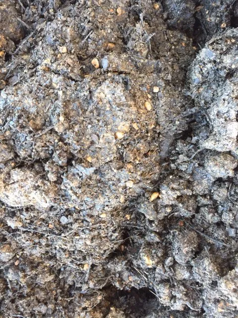 Top-rated yard maintenance experts serving Memphis, TN - Nature's Earth Products