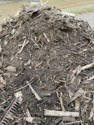 Nature's Earth Products Logo