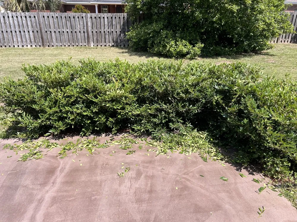 Expert residential landscaping near you in Fairhope, AL by Natures Edge Landscaping