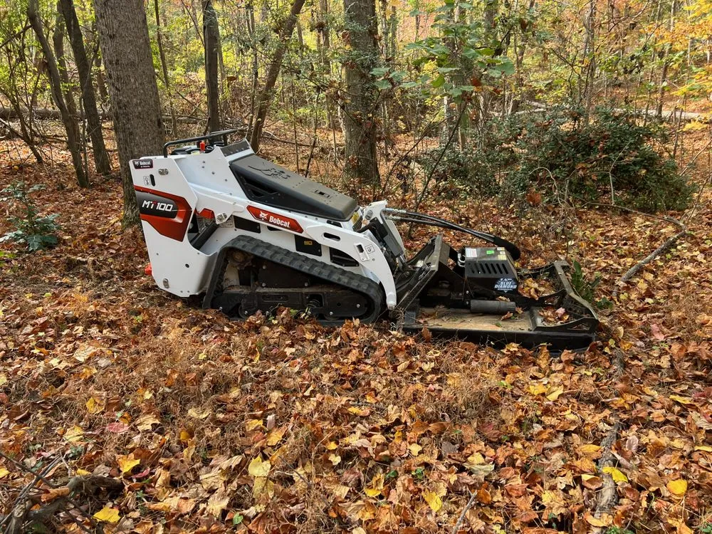 Trusted garden landscaping in Flowery Branch, GA by Nature's Edge Landscaping