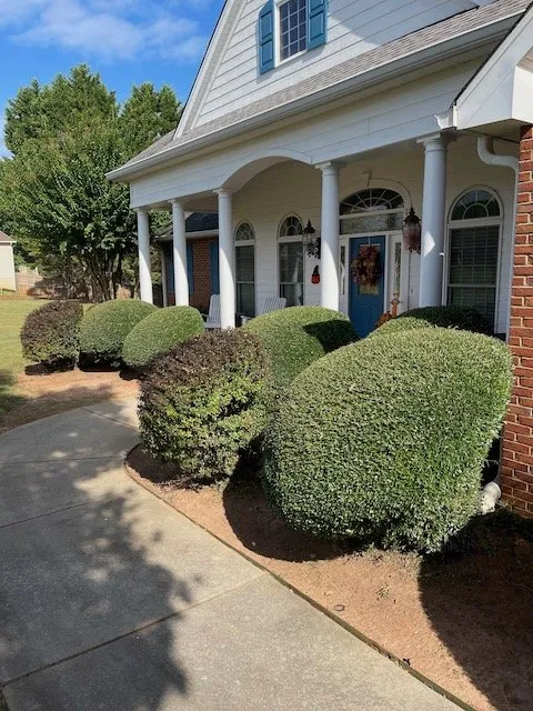 Professional yard cleanup service in Flowery Branch, GA by Nature's Edge Landscaping