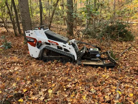 Nature's Edge Landscaping Logo