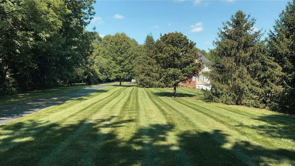 Top-rated yard maintenance for homes in Owensboro, KY by Natures Edge Lawn & Landscaping