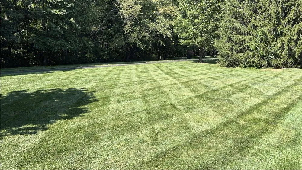 Trusted yard maintenance in Owensboro, KY by Natures Edge Lawn & Landscaping