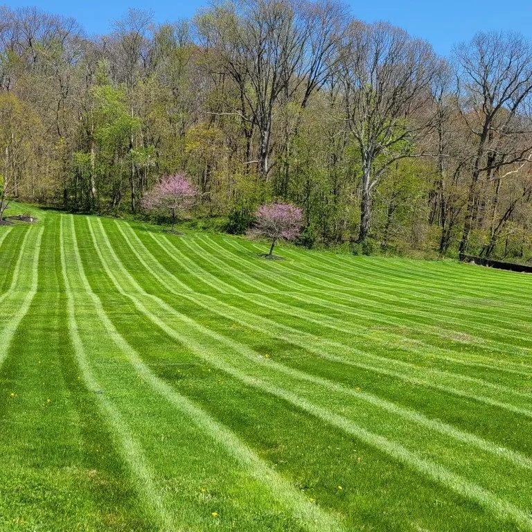 Professional garden landscaping in Owensboro, KY by Natures Edge Lawn & Landscaping