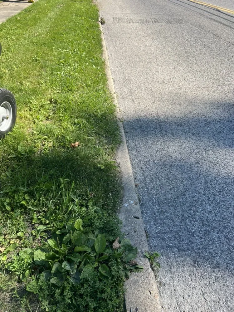 Professional garden landscaping for homes across Jacksonville, IL - Natures Edge Mowing and Landscaping