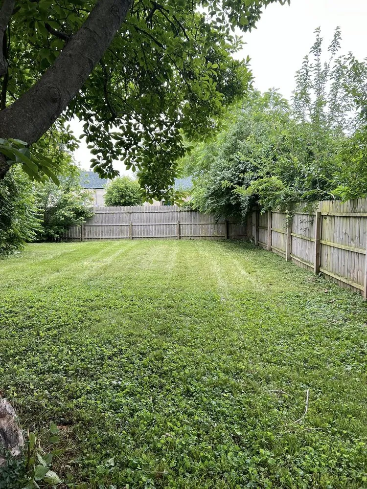 Professional yard cleanup service for homes across Jacksonville, IL - Natures Edge Mowing and Landscaping