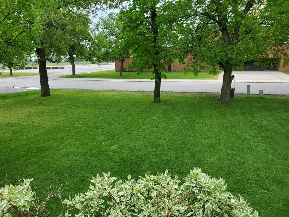 Professional yard cleanup service experts serving Dent, MN - Natures Edge Outdoor Services
