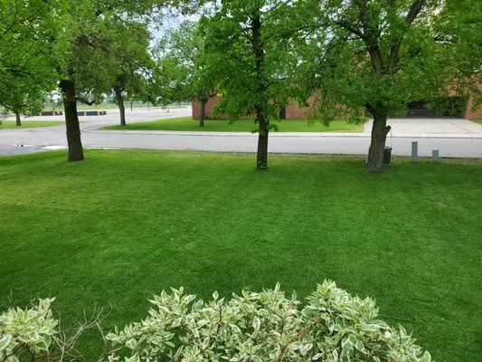 Natures Edge Outdoor Services