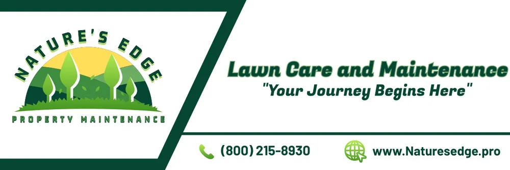 Professional yard cleanup service in Orlando, FL by Nature's Edge Property Maintenance