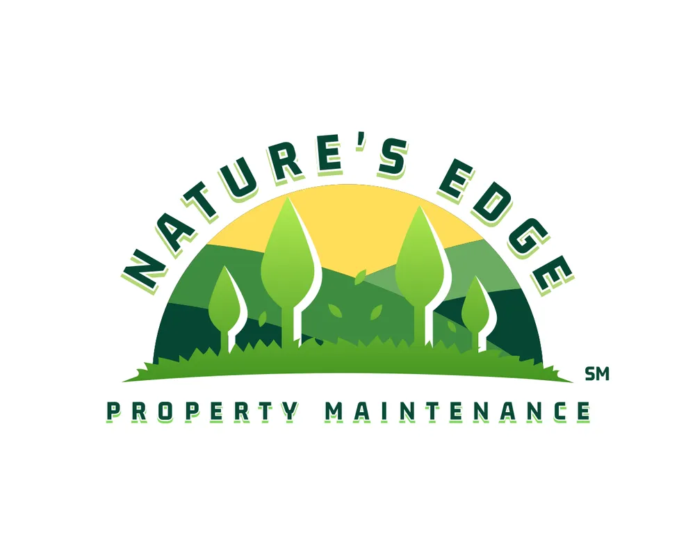 Professional yard cleanup service with custom design across Orlando, FL - Nature's Edge Property Maintenance