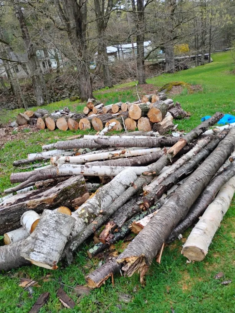 Professional lawn care service experts serving Lowell, VT - Natures Edge Property Services