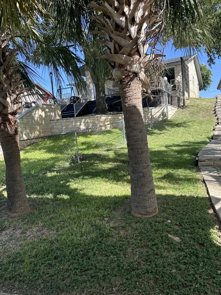 Affordable outdoor landscaping experts serving Sunrise Beach Village, TX - Natures Edge