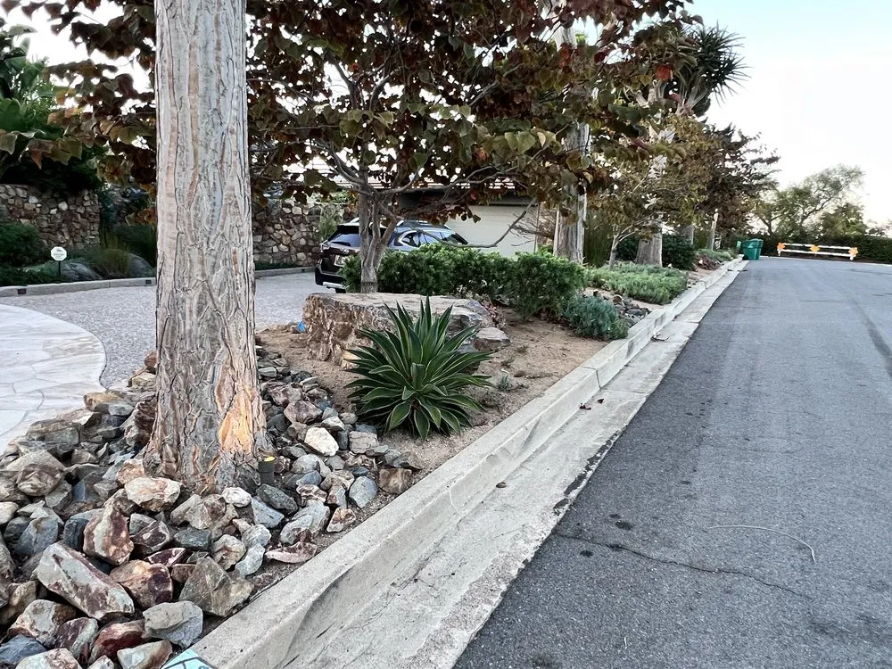 Reliable landscape installation for year-round maintenance in San Diego, CA by Nature's Elements Landscaping