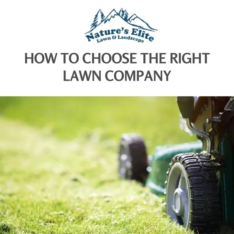 Reliable residential landscaping for year-round maintenance across Boise, ID - Natures Elite Landscape