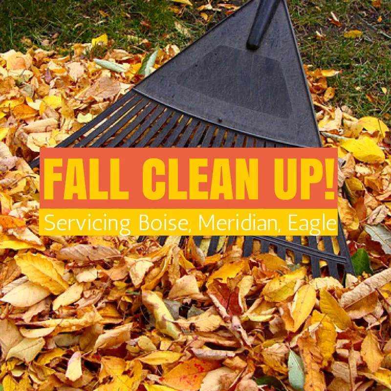 Top-rated residential landscaping for beautiful yards in Boise, ID by Natures Elite Landscape