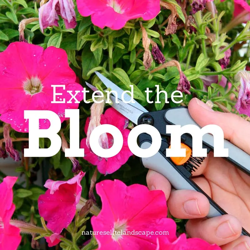 Trusted lawn mowing service in Boise, ID by Natures Elite Landscape