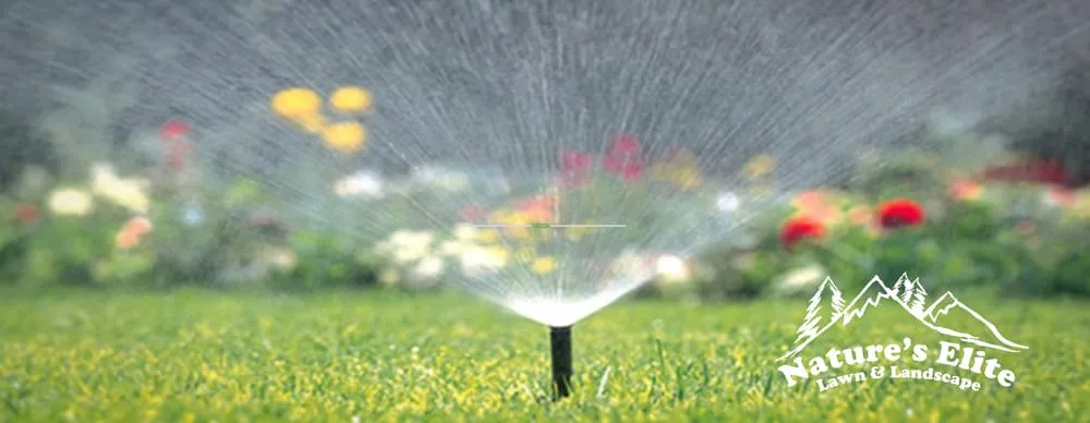 Professional lawn care service experts serving Boise, ID - Natures Elite Landscape