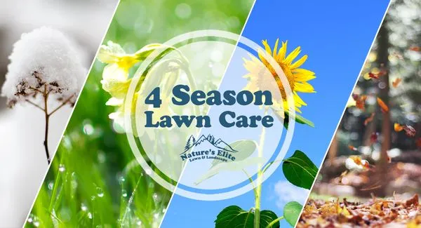 Natures Elite Landscape Logo