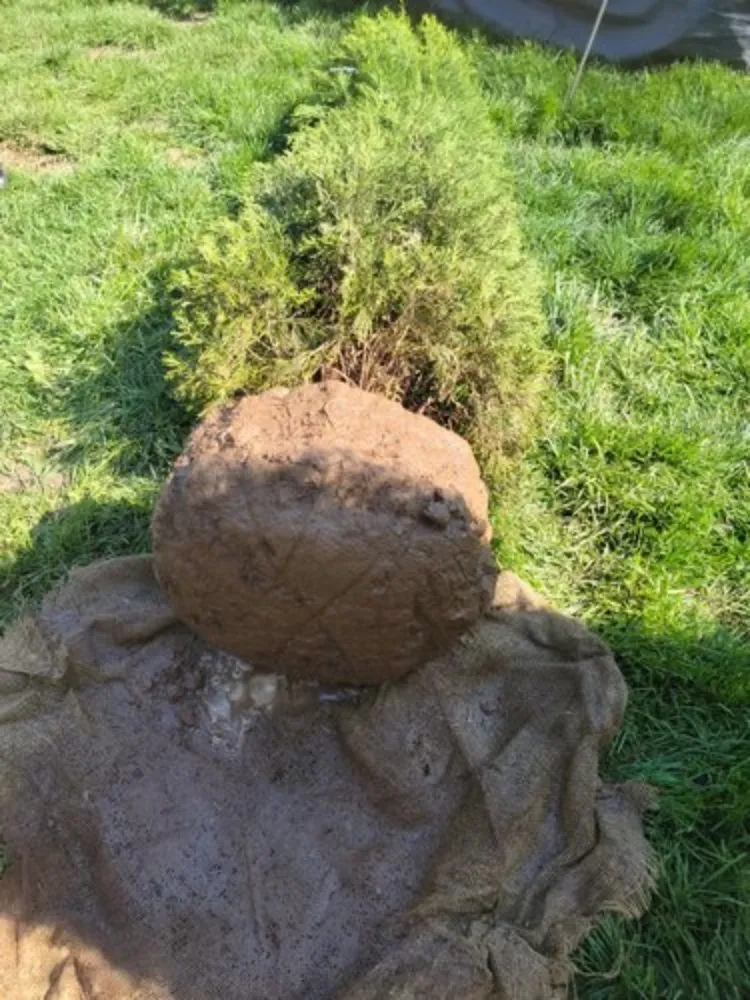 Local lawn care service in New Lenox, IL by Nature's Finest Lawn Care