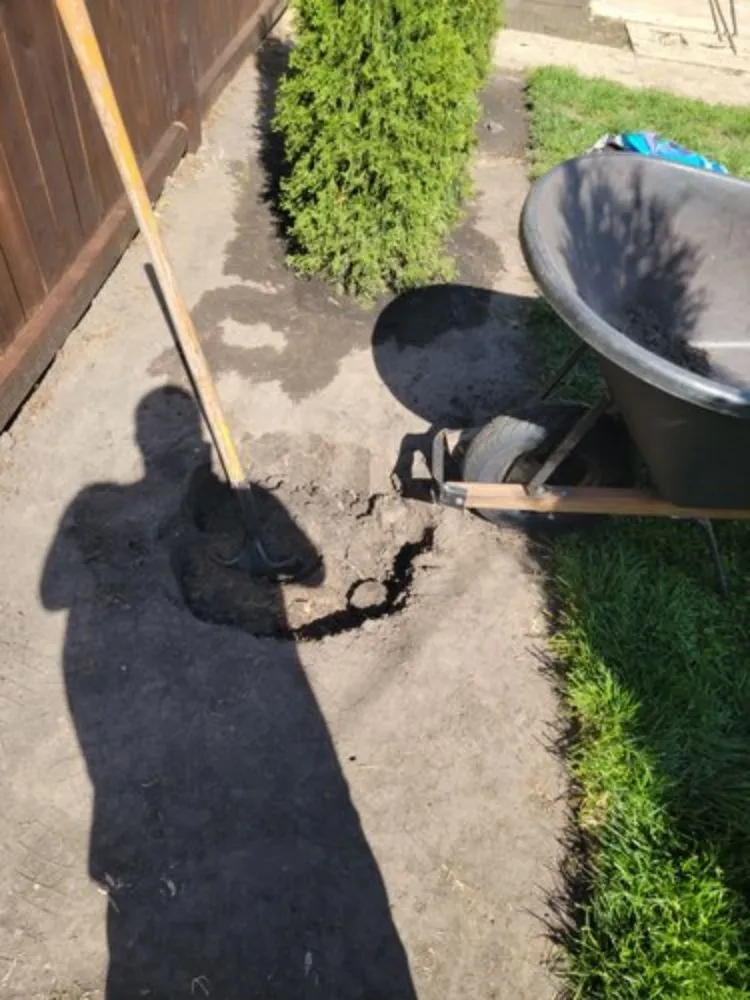 Trusted landscape design in New Lenox, IL - Nature's Finest Lawn Care