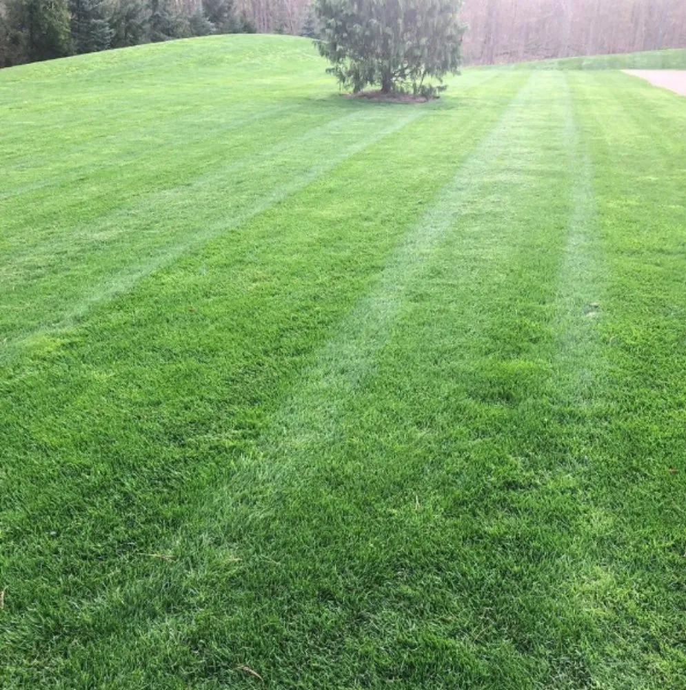 Trusted outdoor landscaping for residential properties across New Lenox, IL - Nature's Finest Lawn Care