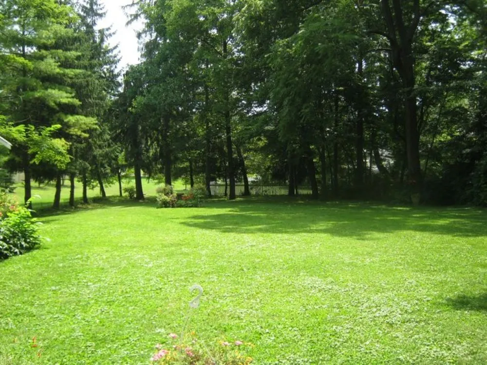 Expert lawn care service experts serving New Lenox, IL - Nature's Finest Lawn Care