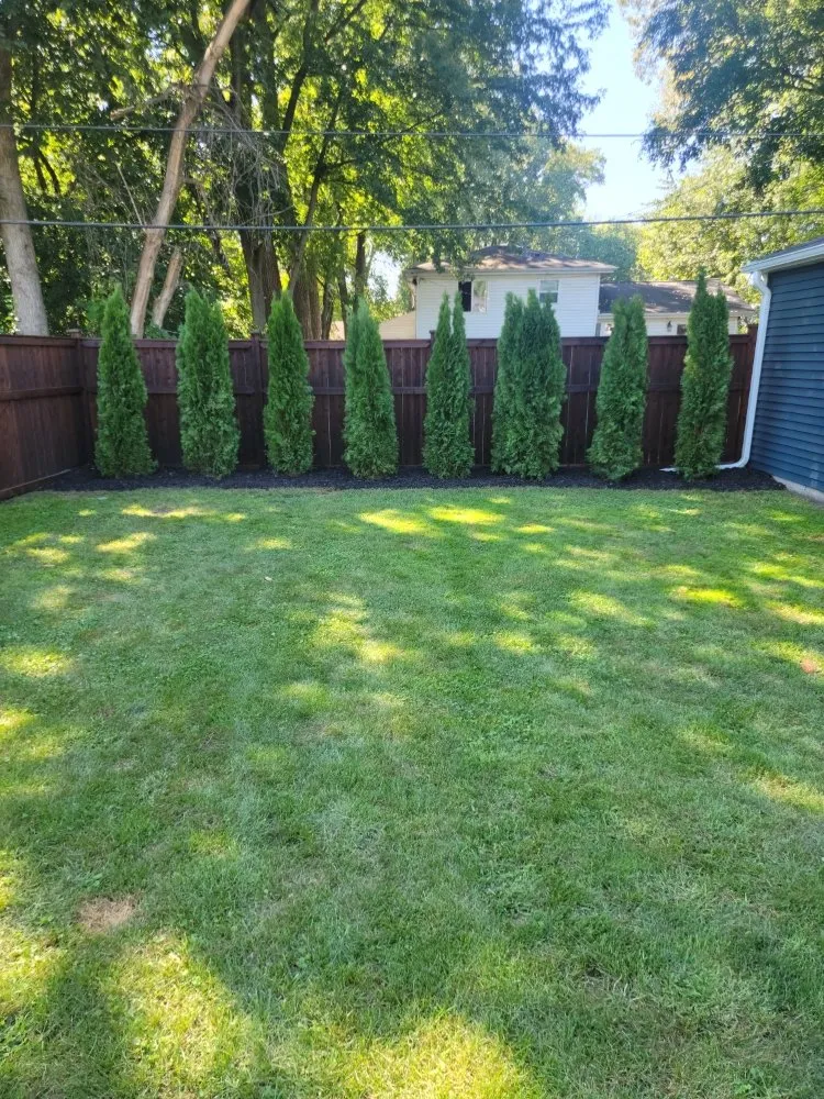 Custom yard cleanup service in New Lenox, IL by Nature's Finest Lawn Care