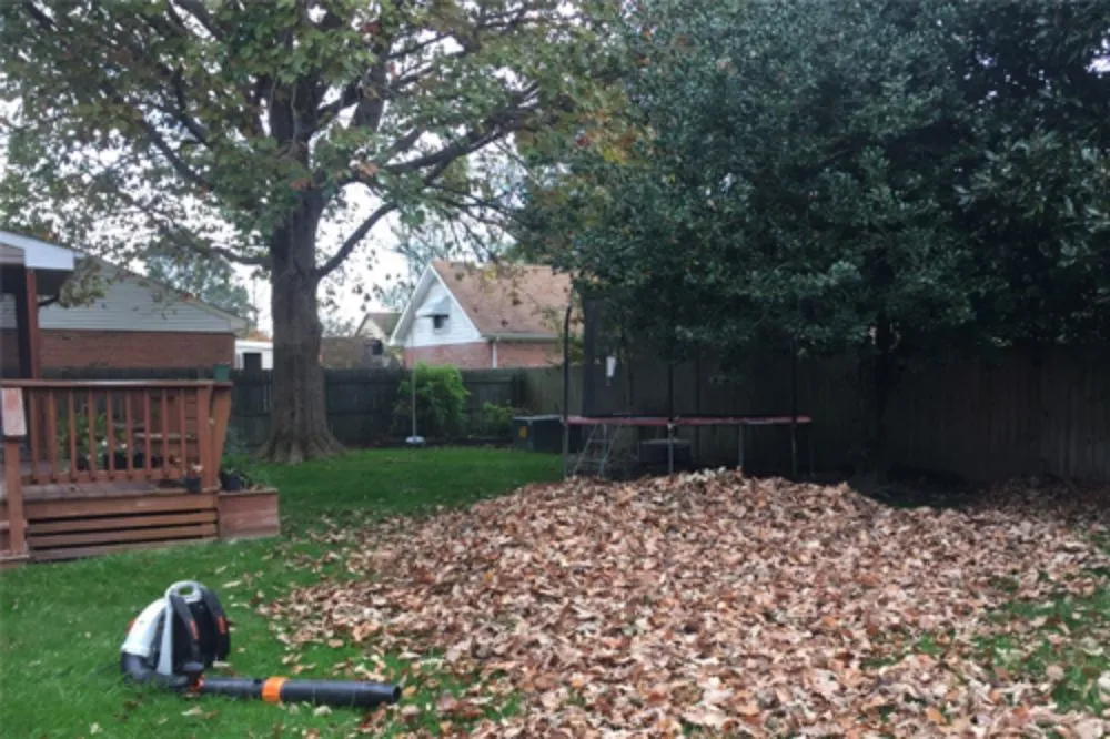 Expert yard cleanup service in New Lenox, IL by Nature's Finest Lawn Care