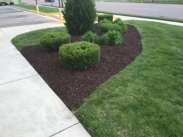 Professional outdoor landscaping in New Lenox, IL - Nature's Finest Lawn Care