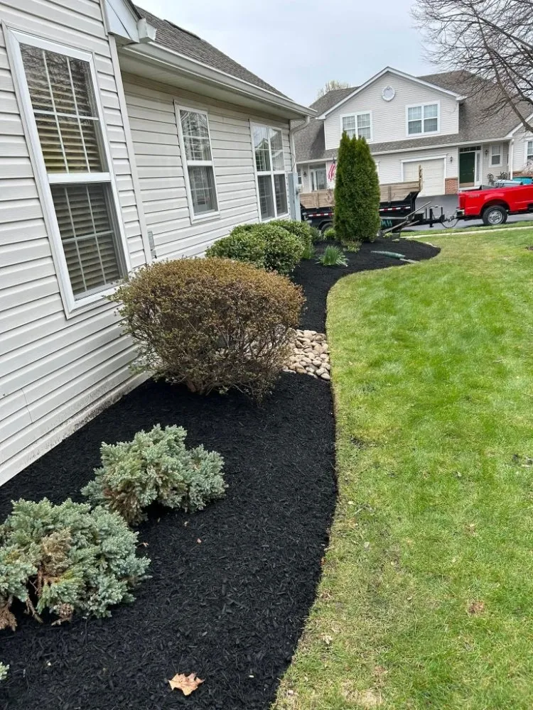 Professional lawn mowing service in New Lenox, IL - Nature's Finest Lawn Care