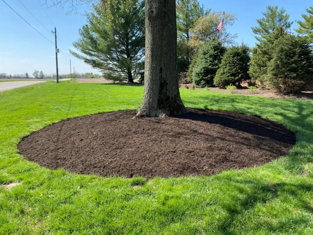 Custom outdoor landscaping experts serving New Lenox, IL - Nature's Finest Lawn Care