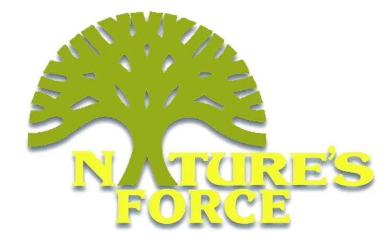 Local landscape installation for outdoor upgrades across Jasper, GA - Nature's Force