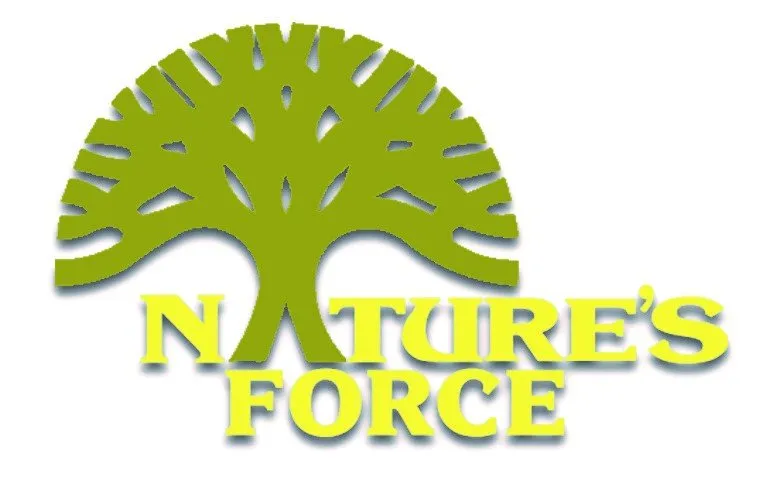 Local yard cleanup service experts serving Jasper, GA - Nature's Force