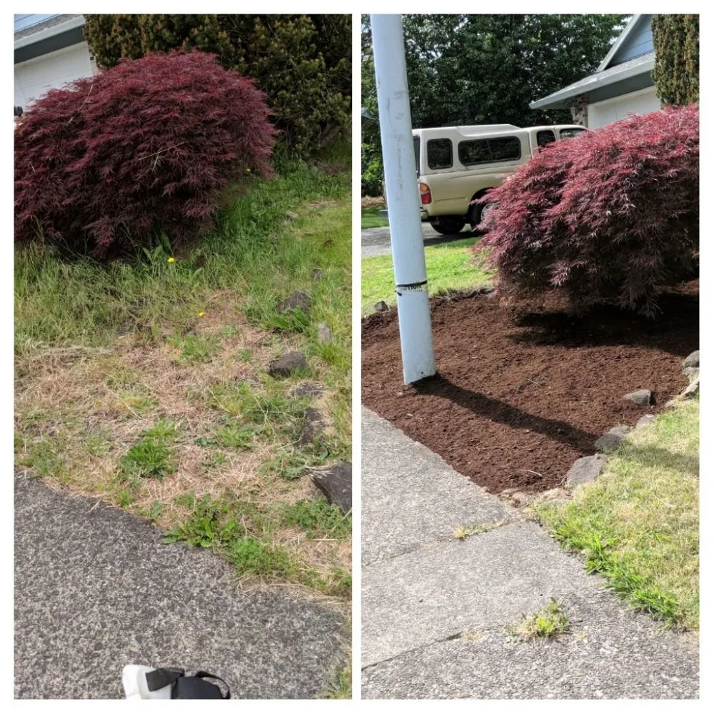 Custom landscape design experts serving Gresham, OR - Nature's Force LandCare