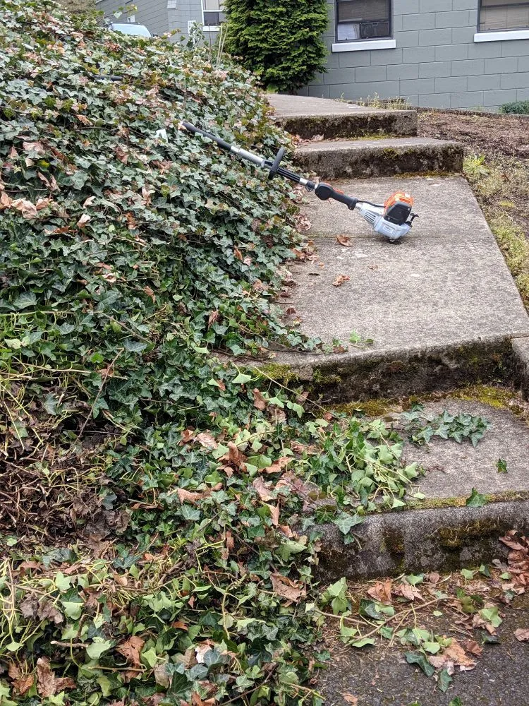 Professional lawn care service for beautiful yards in Gresham, OR by Nature's Force LandCare