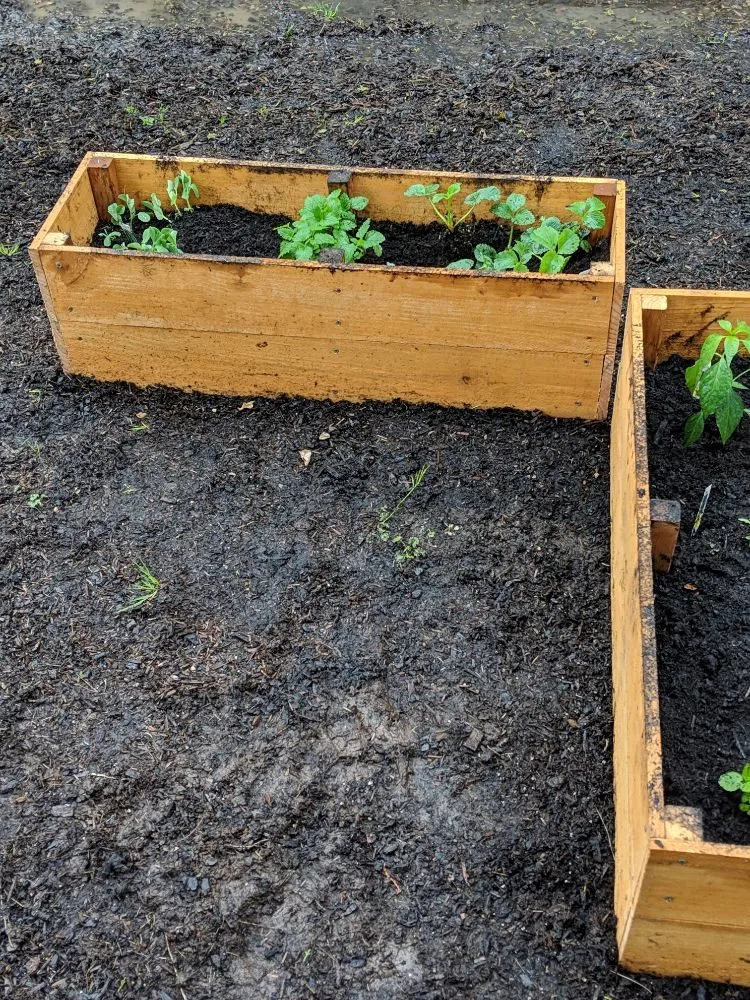Expert landscape design in Gresham, OR - Nature's Force LandCare