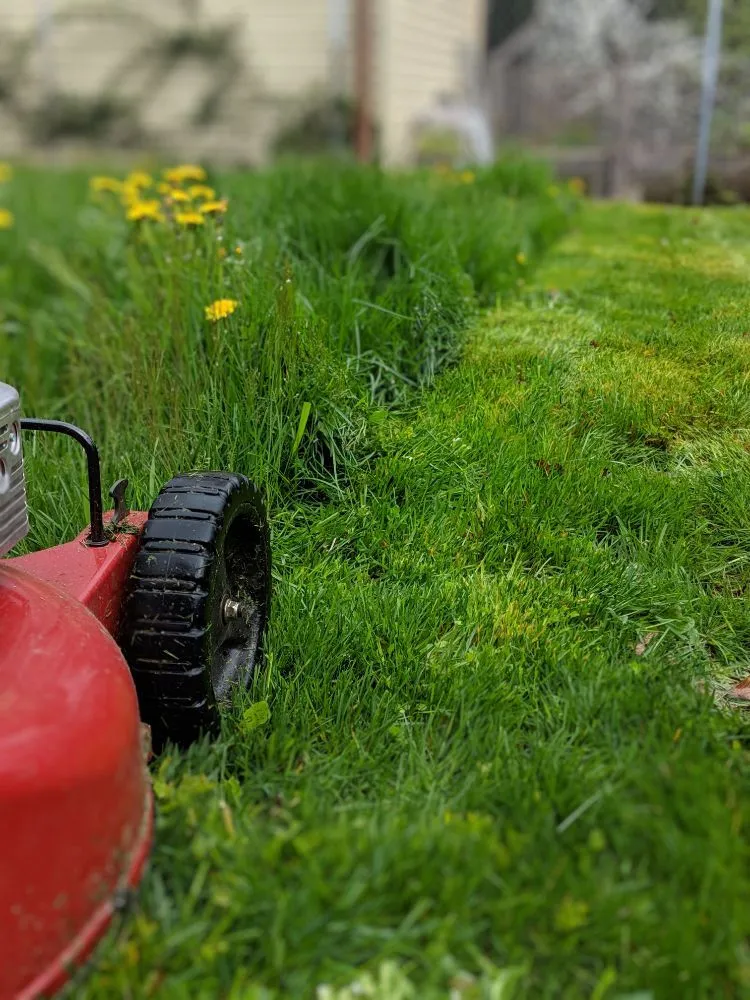 Reliable landscape installation in Gresham, OR by Nature's Force LandCare