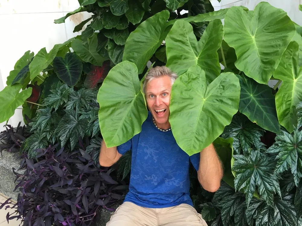 Trusted landscape installation experts serving Rockville, MD - Nature's Friends Landscaping