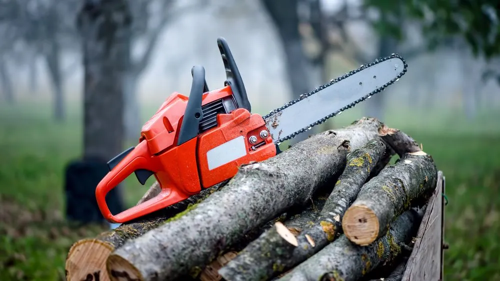 Affordable yard cleanup service in Winter Garden, FL - Nature's Front Lawn